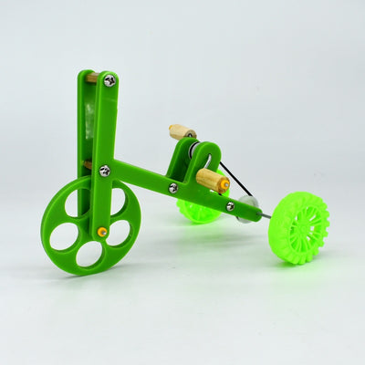 Bird Training Bicycle Toy  | Parrot Exercise & Intelligence Development Prop
