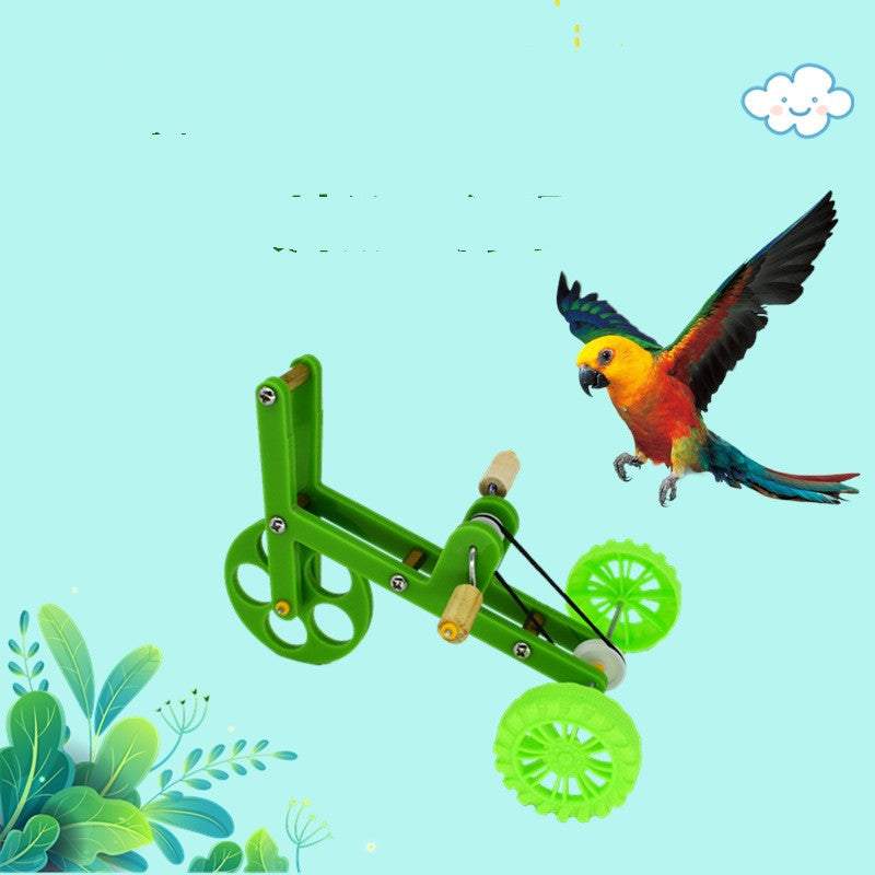 Bird Training Bicycle Toy  | Parrot Exercise & Intelligence Development Prop