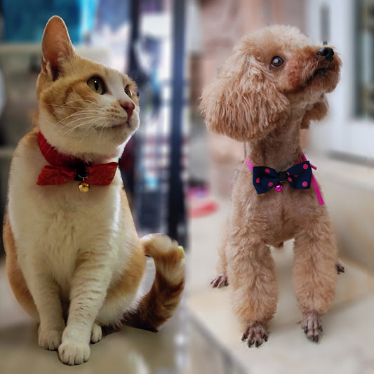 Cute Pet Bow Tie – Stylish Accessory for Dogs & Cats